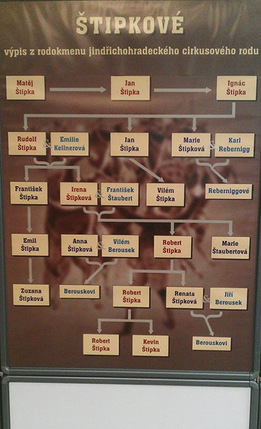 stipka family tree